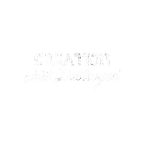 Creation Not Destroyed